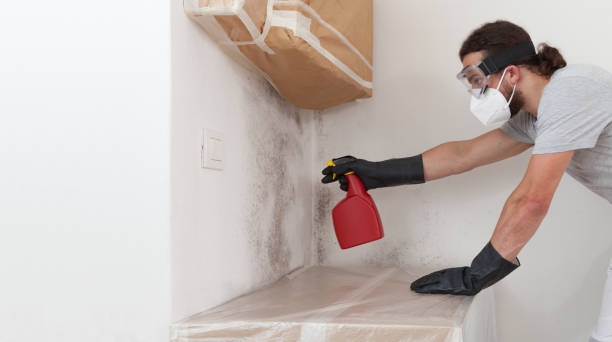Professional Mold Removal technician working in Salem, MA